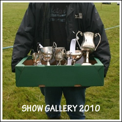 Gallery Show 2010