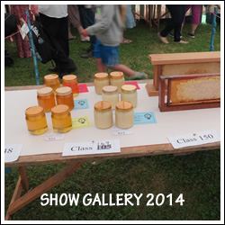 Gallery Show 2014