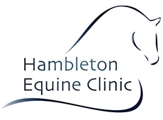 Hambleton Equine